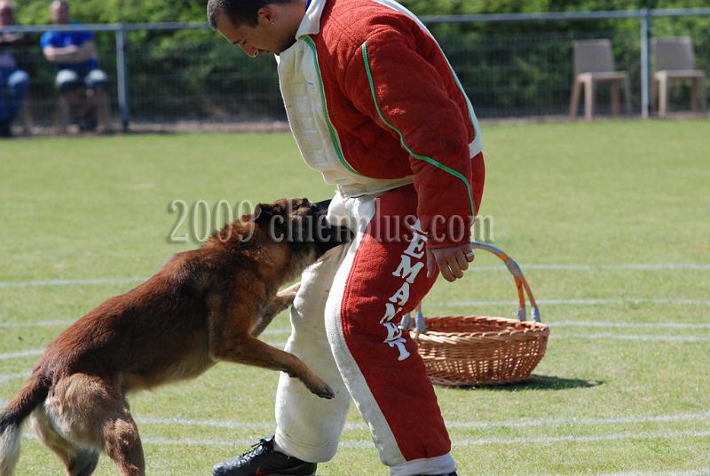3 EME SELECTIF 2009 GRANDE SYNTHE 190.jpg